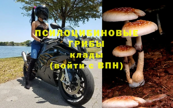 каннабис Протвино