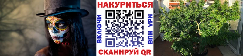 Бошки Шишки планчик  Купить  Южа 